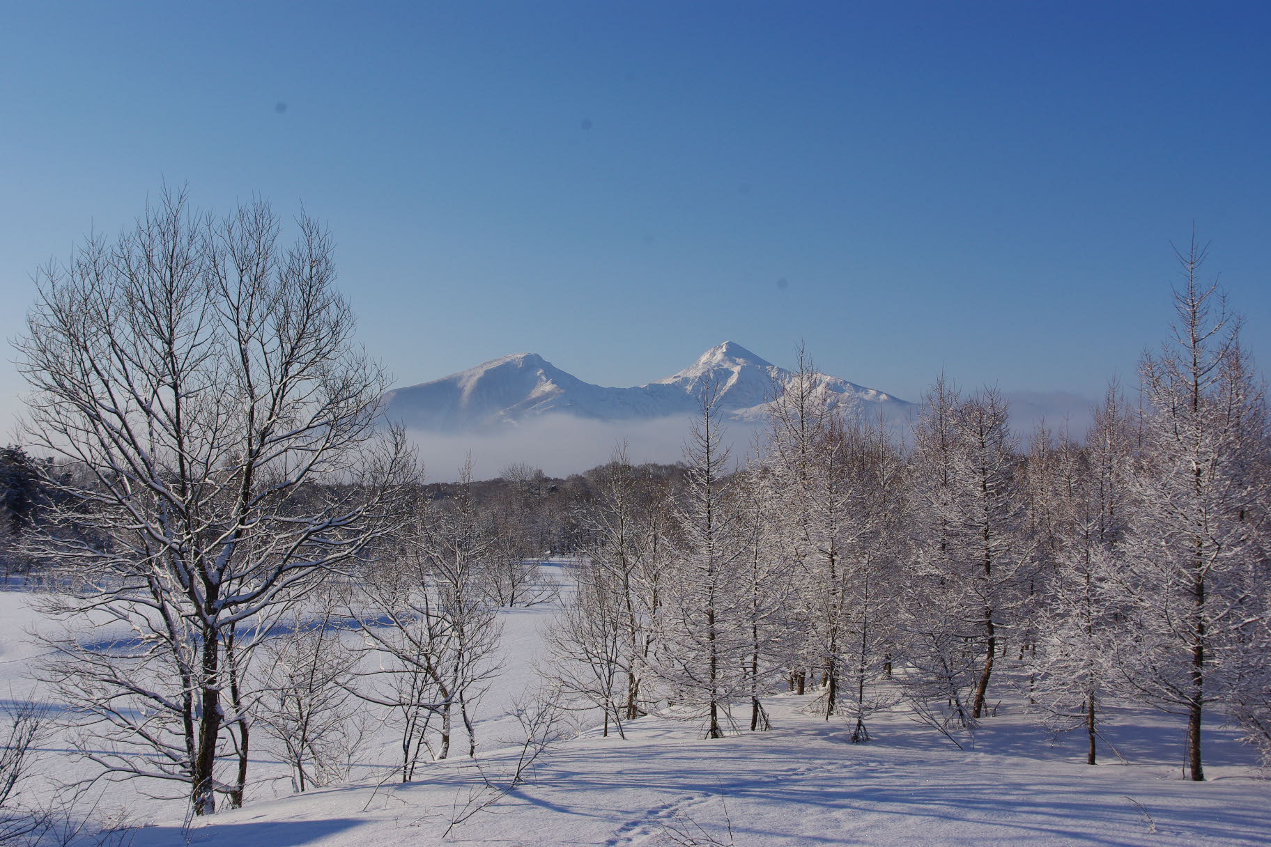 リトリートルームからの風景　冬の磐梯山.JPG